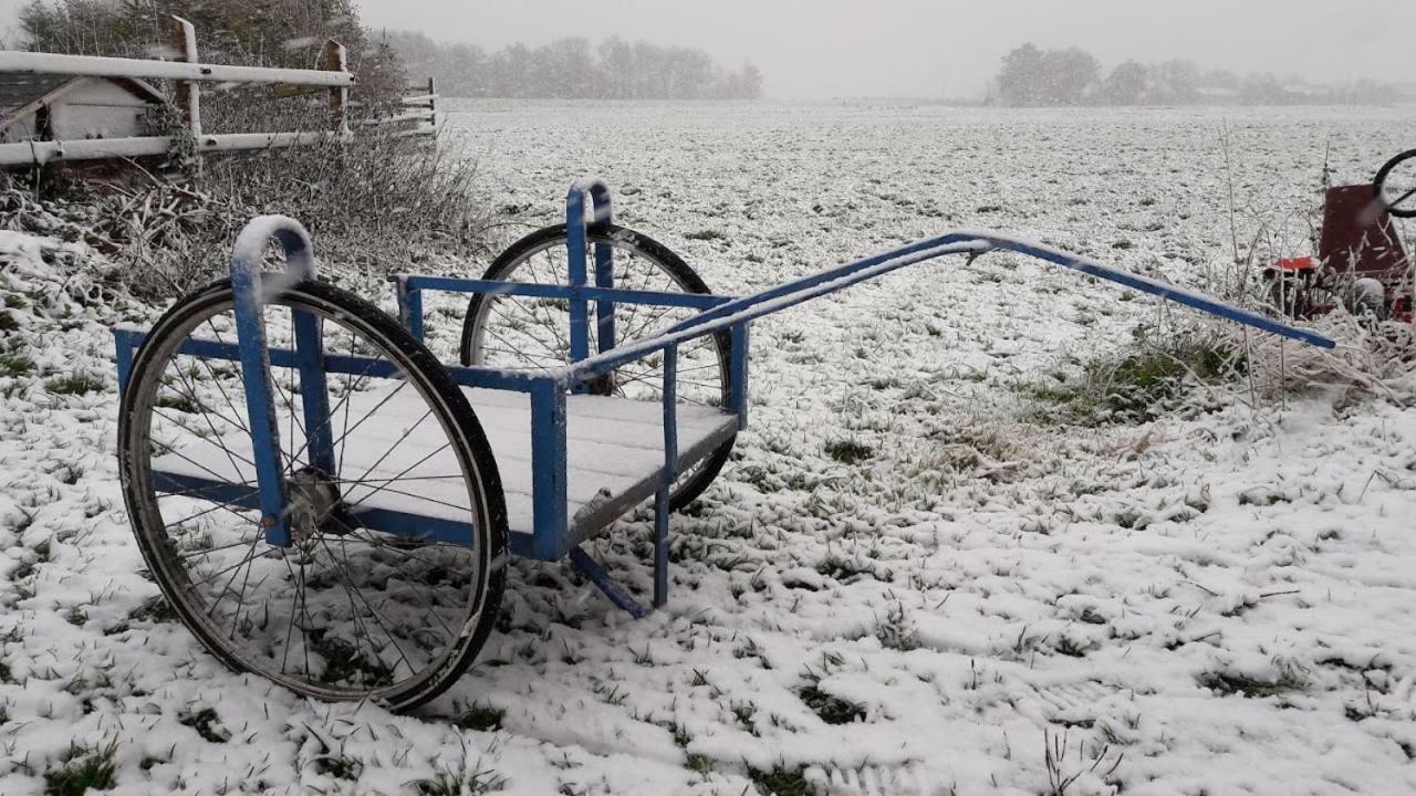 SpijkerboorNoord-Hollands Hof Dream公寓 外观 照片